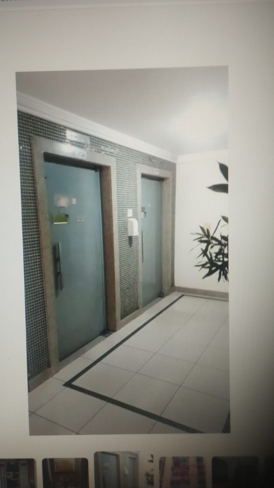 Imagem do WhatsApp de 2025-02-25 à(s) 11.29.37_2660de6d