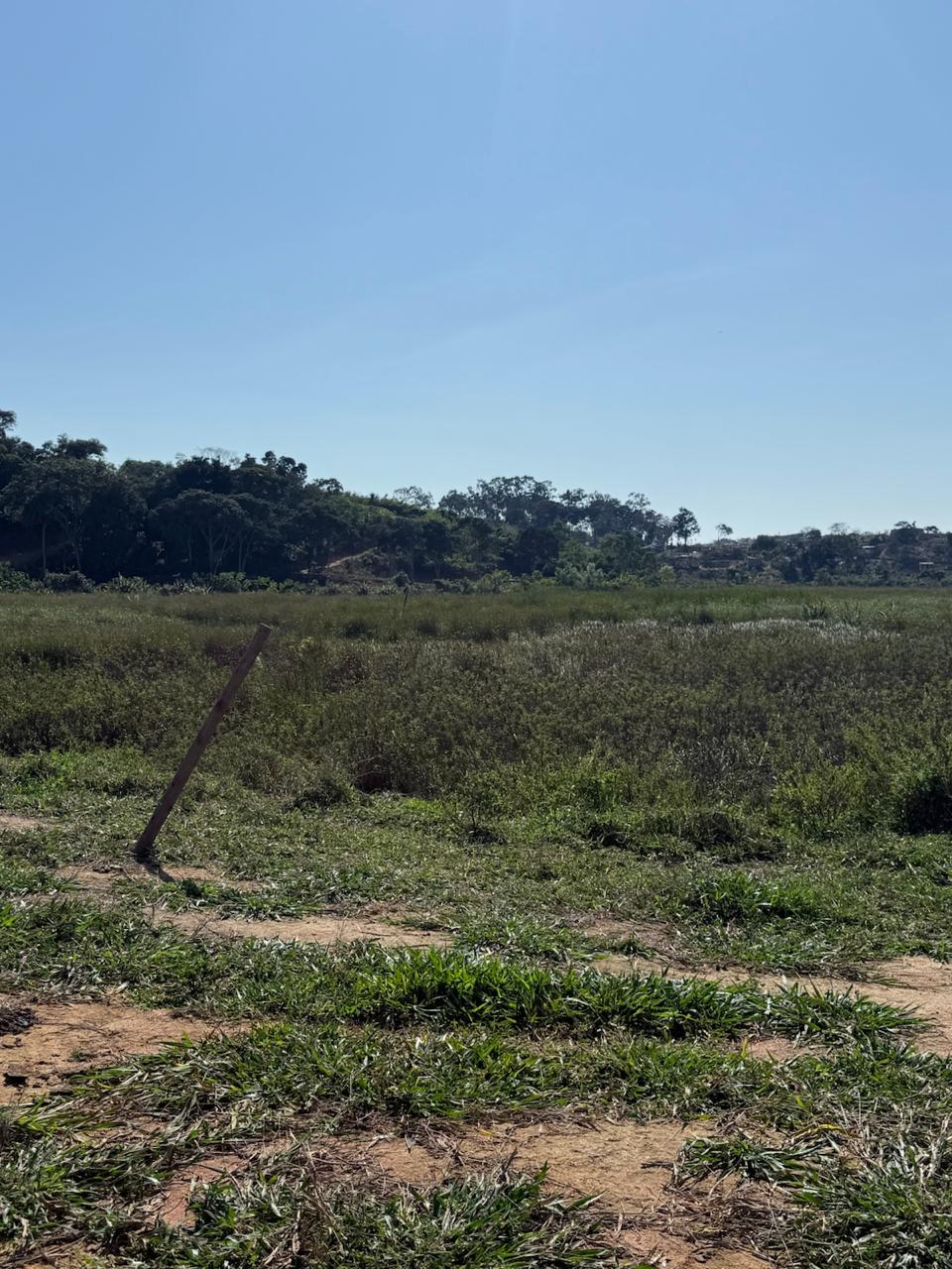 Imagem do WhatsApp de 2025-09-12 à(s) 11.22.24_7ddeb254