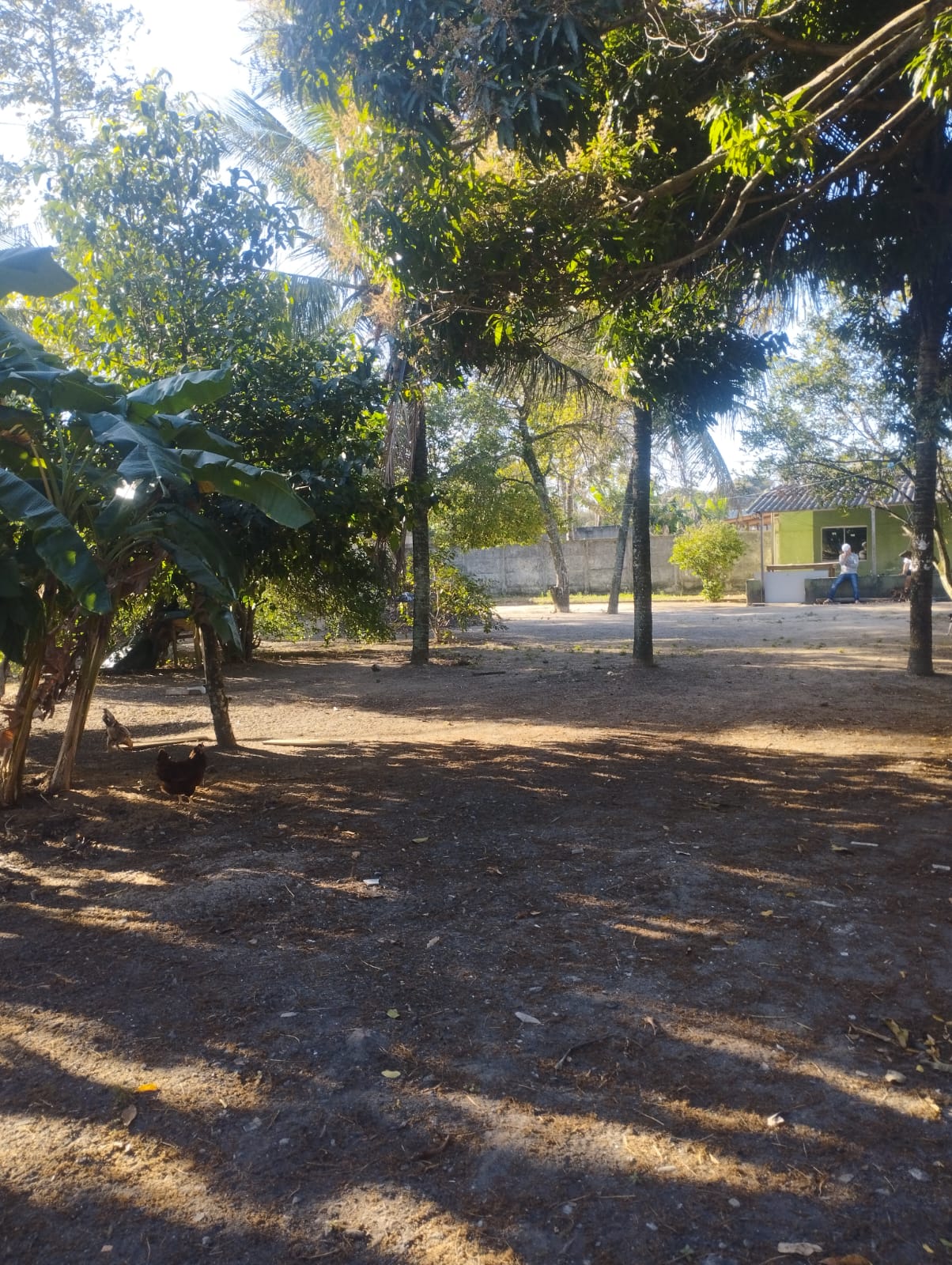 Imagem do WhatsApp de 2025-09-22 à(s) 09.24.12_90ed11c6