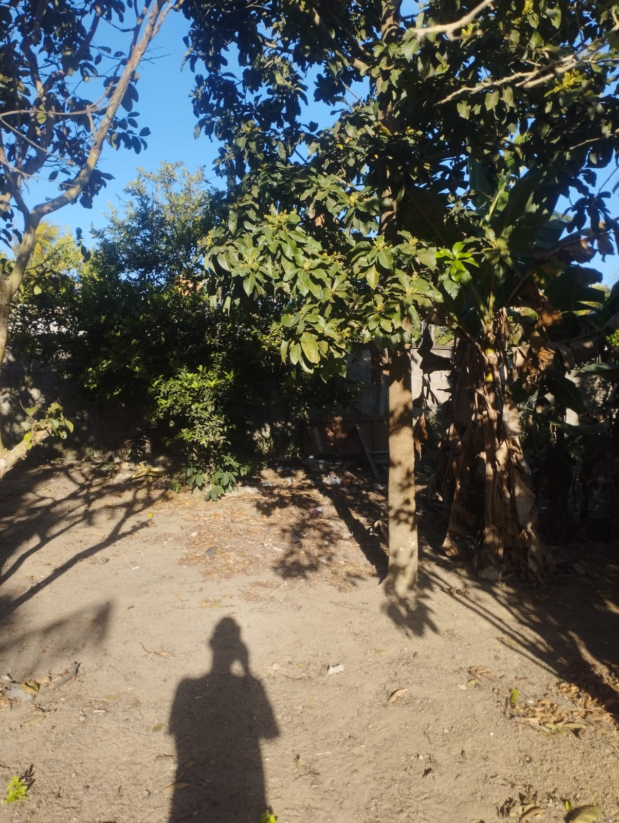 Imagem do WhatsApp de 2025-09-22 à(s) 09.24.13_1b77558f