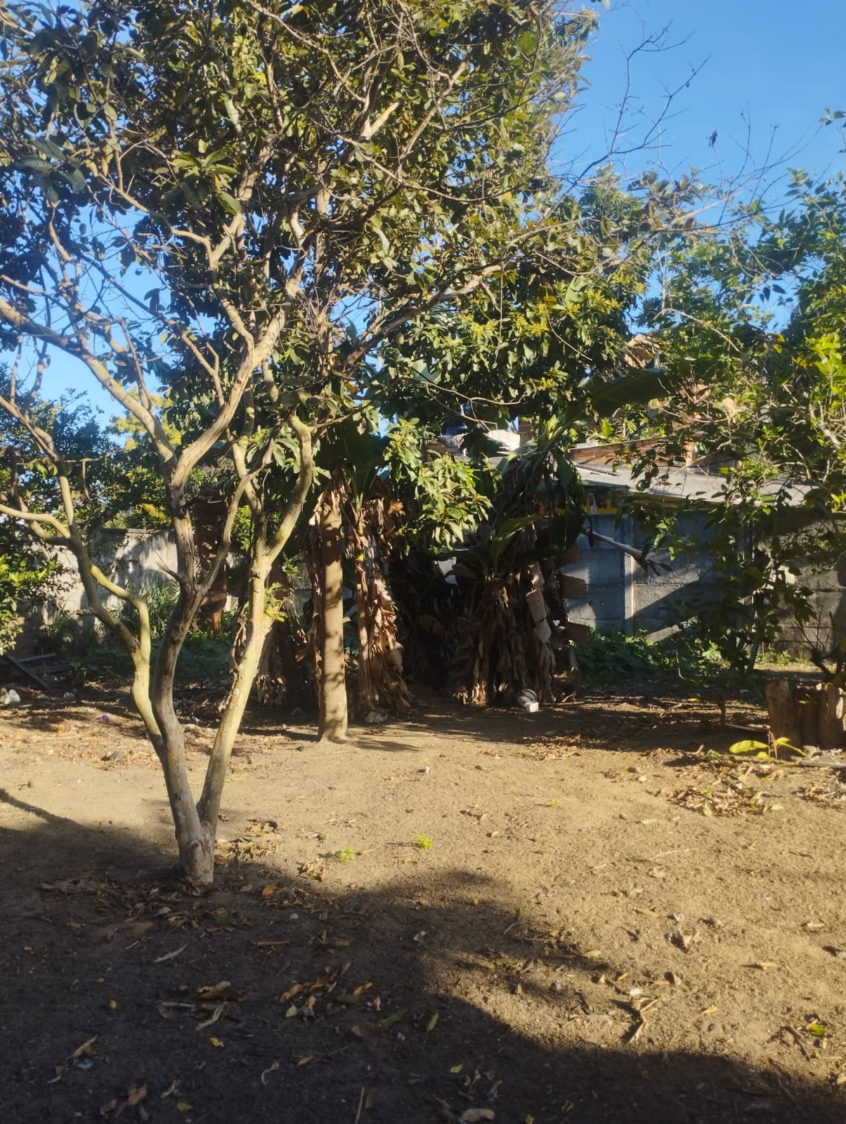 Imagem do WhatsApp de 2025-09-22 à(s) 09.24.13_51c6de52