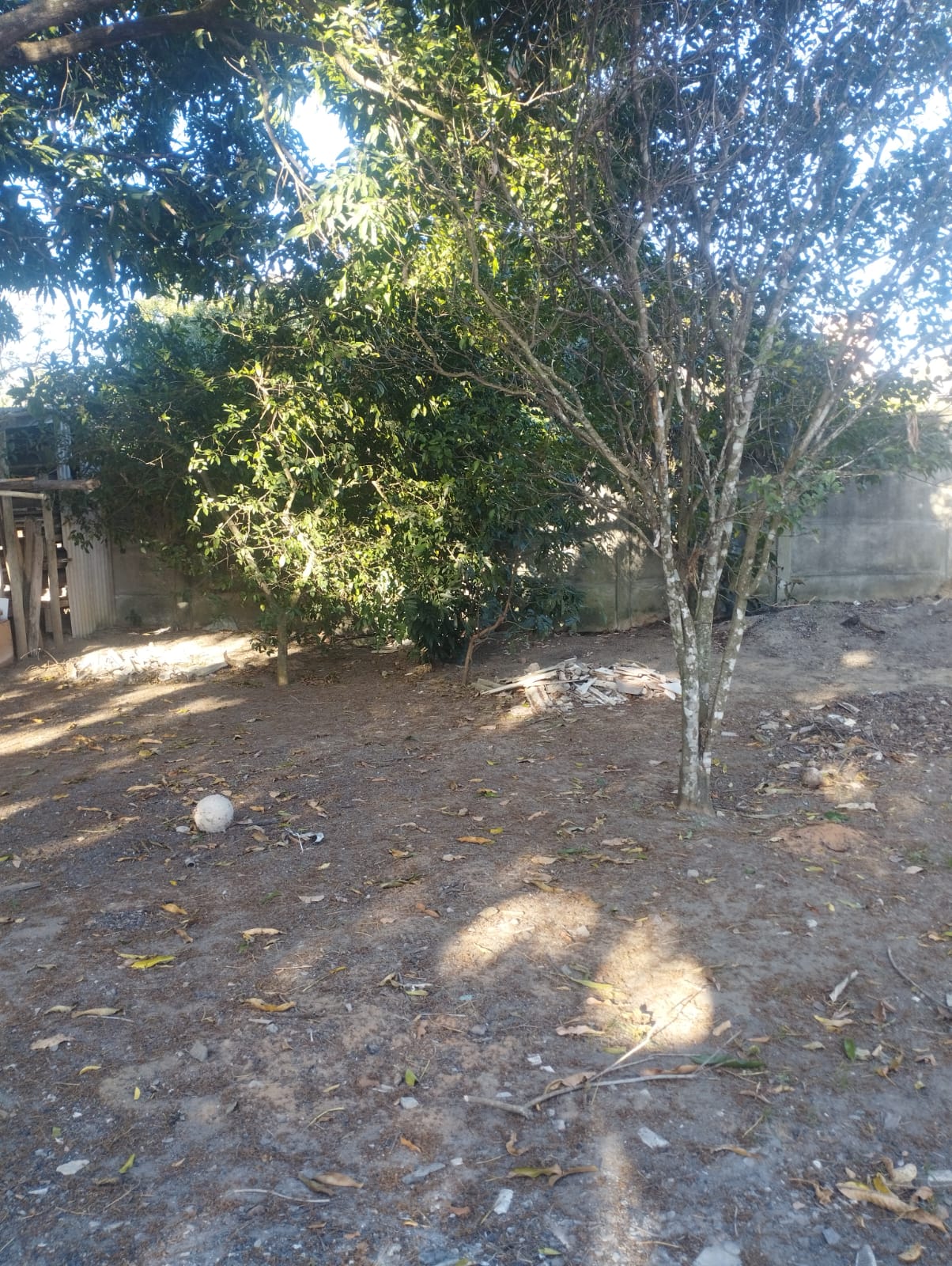 Imagem do WhatsApp de 2025-09-22 à(s) 09.24.13_c129db3b