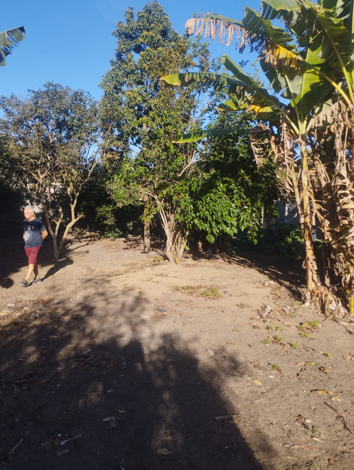 Imagem do WhatsApp de 2025-09-22 à(s) 09.24.13_e32aa37f