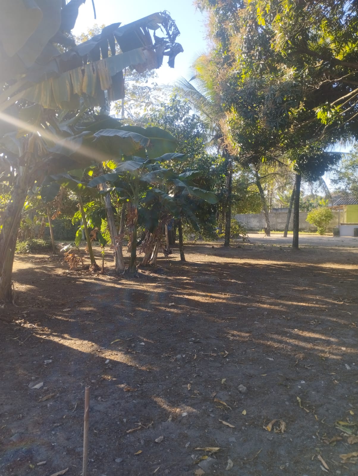 Imagem do WhatsApp de 2025-09-22 à(s) 09.24.14_a4fc2508