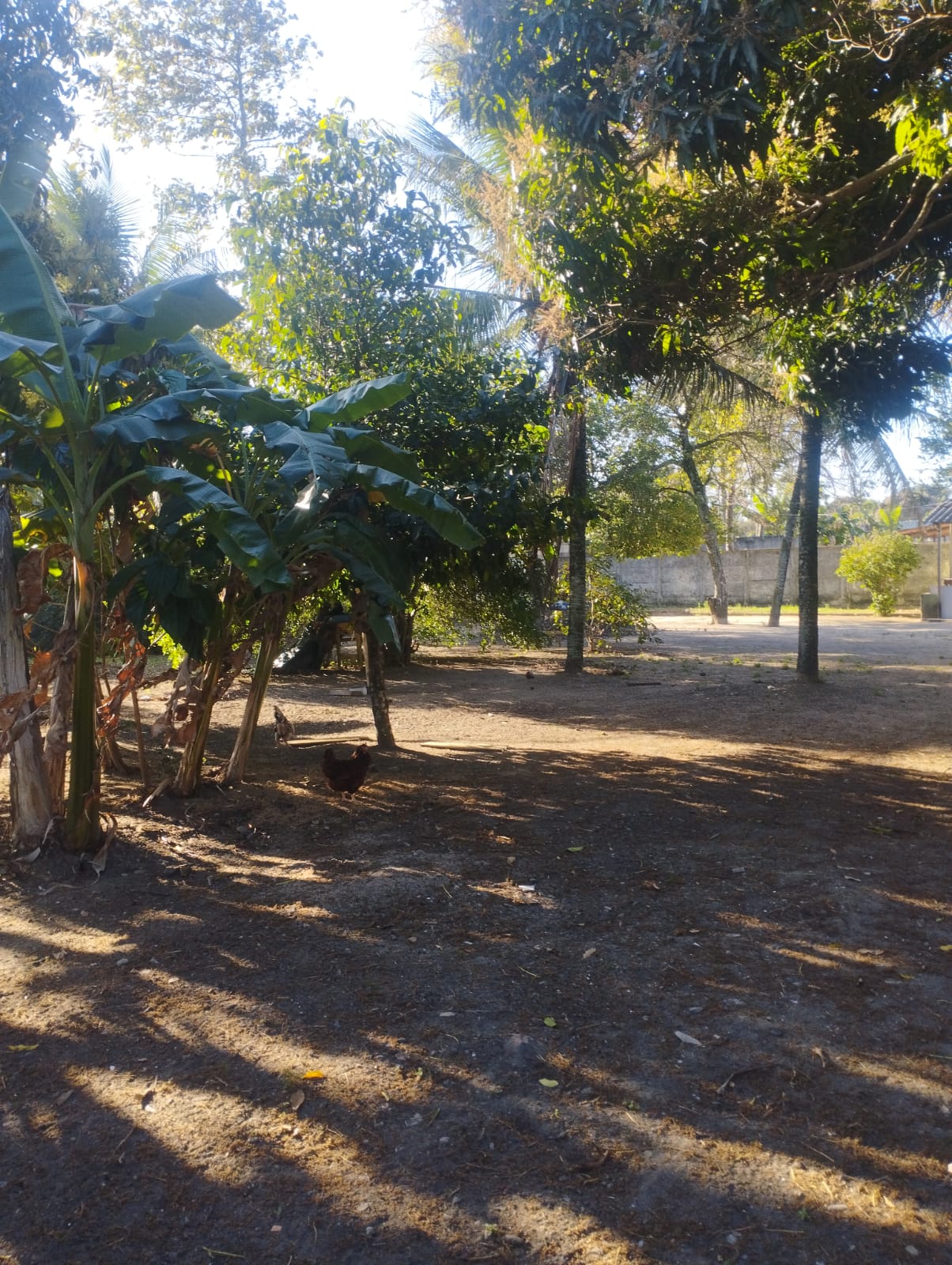 Imagem do WhatsApp de 2025-09-22 à(s) 09.24.14_d81d106e