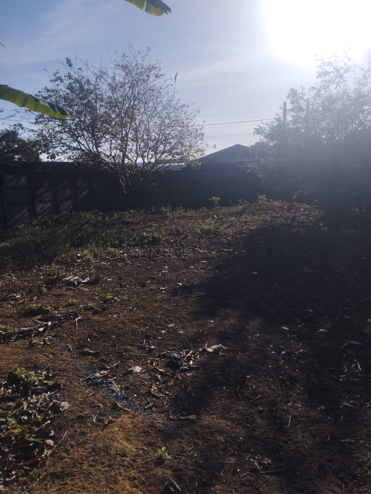 Imagem do WhatsApp de 2025-09-22 à(s) 09.24.14_f5fced41