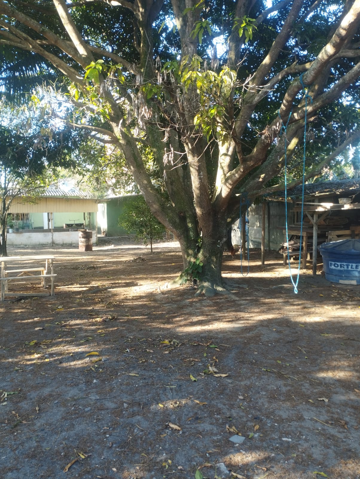 Imagem do WhatsApp de 2025-09-22 à(s) 09.24.15_45fb4bd9