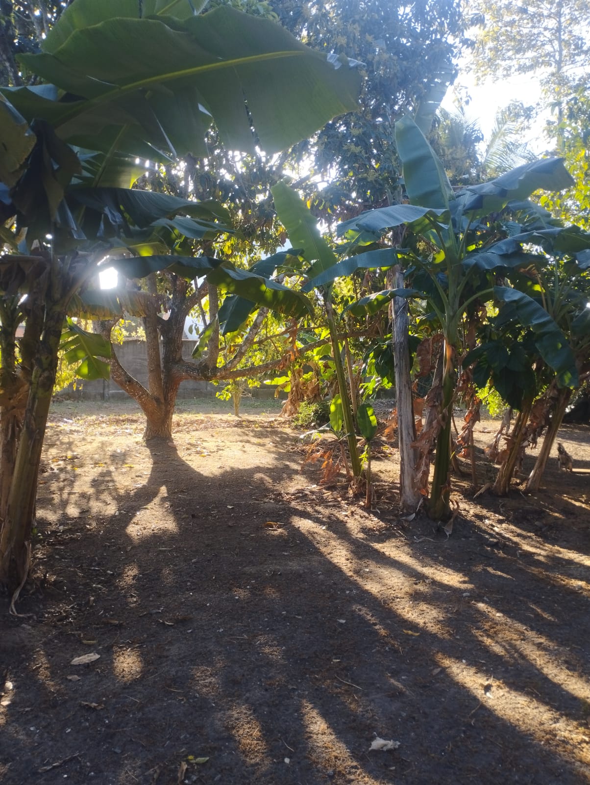 Imagem do WhatsApp de 2025-09-22 à(s) 09.24.15_4be22dfd